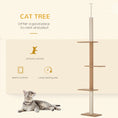 Load image into Gallery viewer, PawHut Floor-to-Ceiling Cat Tree Cat Climbing Tower with Sisal-Covered Scratching Posts Natural Cat Tree Activity Center for Kittens Cat Tower Furniture, Light brown