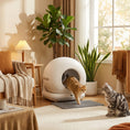 Load image into Gallery viewer, Automatic Litter Box, Self Cleaning Litter Box for Multiple Cats, 72L Extra Large, App Control, 2.4G Wifi, Odor & Noise Control, Safety Sensors, Deodorant Gel, Litter Mat, 1 Roll Garbage Bag
