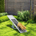 Load image into Gallery viewer, PawHut Wooden Dog Agility Seesaw for Training and Exercise, Platform Equipment Run Game Toy, Weather Resistant Pet Supplies, 83" L x 16" W x 14" H, White