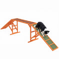 Load image into Gallery viewer, Dog Agility Ramp, Dog Walk Balance Trainer Equipment w/ Safety Bar, Non-slip Surface, Pet Training Ramp for Walk and Pause Practice, Pet Obstacle Course, Backyard Park Use, Orange