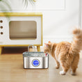 Load image into Gallery viewer, Cat Water Fountain for Drinking, 3.2L Stainless Steel Cat Fountain, Ultra-Silent, Automatic, Visible Water-Level, for Kittens, Dogs and Other Pets