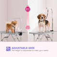 Charger l'image dans la visionneuse de la galerie, 32in Foldable Dog Grooming Table for Small Medium Dogs, Pet Grooming Table for Cats Puppies with Adjustable Arm, Noose and Non-Slip Surface, Grey