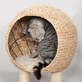 Load image into Gallery viewer, Cat Tree with Sisal Scratching Post Condo and Hanging Rope 39" H, Beige