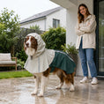 Load image into Gallery viewer, Dog Raincoat with Hood, Waterproof & Breathable Rain Jacket with Reflective Strips and Leash Hole, Adjustable Poncho for Medium Dogs, 15-20 KG Available, Green, M