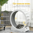 Load image into Gallery viewer, Cat Treadmill, Cat Exercise Wheel, 30 inch Kitten Running Wheel with Brake, Carpeted Runway for Exercise - White