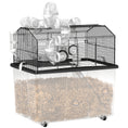 Load image into Gallery viewer, PawHut Large Hamster Cage with 12" Deep Tray, 2 Tier Gerbil Cage with Tube System, Water Bottle, Ramp, Feeding Bowl, 23" x 17" x 22", Black