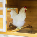 Load image into Gallery viewer, 79" Wooden Chicken Coop, Outdoor Hen House, Poultry Habitat with Removable Tray, Nesting Box, Run, Ramp