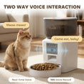 Load image into Gallery viewer, Automatic Cat Feeder with Camera, 2.4G WiFi, Smart APP Control 4L Pet Feeder 1-10 Meals with 2-Way Audio, Night Vision, Anti-Clogging, 10s Meal Call Back, Dual Power Supply, Detachable Clean
