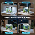 Load image into Gallery viewer, Aquarium, 13L Glass Fish Tank with Filter, LED Lighting, Water Pump, for Bettas, Guppies, Mini Parrot Fishes, Shrimp, Goldfish, 29 x 20 x 30.5cm