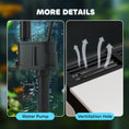 Load image into Gallery viewer, Aquarium, 13L Glass Fish Tank with Filter, LED Lighting, Water Pump, for Bettas, Guppies, Mini Parrot Fishes, Shrimp, Goldfish, 29 x 20 x 30.5cm
