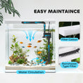Load image into Gallery viewer, Aquarium, 13L Glass Fish Tank with Filter, LED Lighting, Water Pump, for Bettas, Guppies, Mini Parrot Fishes, Shrimp, Goldfish, 29 x 20 x 30.5cm