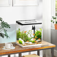 Load image into Gallery viewer, Aquarium, 13L Glass Fish Tank with Filter, LED Lighting, Water Pump, for Bettas, Guppies, Mini Parrot Fishes, Shrimp, Goldfish, 29 x 20 x 30.5cm