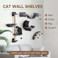Load image into Gallery viewer, 4Pcs Cat Wall Shelf with Scratching Post, Cat Wall Shelves for Relaxing, Climbing, Cat Wall With Soft Ladder, Hammock, Play Balls, Dark Grey