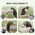 Load image into Gallery viewer, PawHut Cat Tree Tower, 35 Inch Modern Cat Tree for Indoor Adult Cats with Wooden Natural Branch Scratching Posts, Cat Bed & Rope Cat Toy, Brown