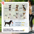 Load image into Gallery viewer, Dog Pram Dog Stroller Pet Pushchair with Detachable Carrier Soft Padding, Safety Leashes, for Mini and Small Dogs - Red