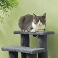 Load image into Gallery viewer, 4-Step Multi-Level Carpeted Cat Scratching Post Pet Stairs, Grey