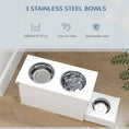 Load image into Gallery viewer, PawHut Elevated Dog Bowls with Slow Feeder Mat & Semi-Auto Dispenser Function, Pet Feeding Station with Storage Cabinet, 3 Stainless Steel Bowls, Raised Dog Bowls for Large & Extra Large Dogs, White