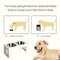 Load image into Gallery viewer, Raised Dog Bowl Feeding Bowls with Stand for Medium Dogs Elevated Pet Bowls Water Food Feeder 58L x 31W x 25H cm - White
