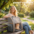 Load image into Gallery viewer, Cat Backpack Carrier, Foldable Pet Carrier for Mini Dogs and Cats Up to 5 kg, Pet Travel Bag with Mesh Window, Side Pocket for Travel and Outdoor Activities, Grey
