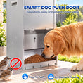 Load image into Gallery viewer, 50lbs Automatic Dog Feeder, Galvanized Gravity Pet Feeder with Lockable Clear Door, Indoor and Outdoor Use, Wall Mountable, Portable Handles, Auto Dog Food Dispenser for Large Breeds
