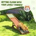 Load image into Gallery viewer, PawHut Wooden Dog Agility Seesaw for Training and Exercise, Platform Equipment Run Game Toy, Weather Resistant Pet Supplies, 83" L x 16" W x 14" H, Orange