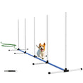 Gallery viewerに画像を読み込む, 2PCs Dog Agility Equipment Set, Dog Agility Kit with Weave Poles, Spray Water Tube, Whistle, Carry Bag, for Outdoor, Backyard, Garden, White