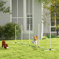 Gallery viewerに画像を読み込む, 2PCs Dog Agility Equipment Set, Dog Agility Kit with Weave Poles, Spray Water Tube, Whistle, Carry Bag, for Outdoor, Backyard, Garden, White