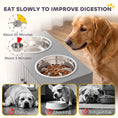 Load image into Gallery viewer, Elevated Dog Bowls with Storage Cabinet, Raised Dog Bowl Stand, Pet Feeding Station with Slow Feeder & Non-Slip, for Large Pets, Gray