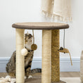 Load image into Gallery viewer, 17" Cat Tree, Kitty Activity Centre with Hanging Toys, Cat Climbing Toy, Cat Tower with Jute, Sisal, Seagrass Scratching Post, Brown