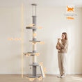 Load image into Gallery viewer, Floor-to-Ceiling Cat Tree, 90.6" -102.4" Adjustable 5-Level Cat Tower with 3 Top Tension Rods, Bed, Hammock, Perches and Sisal Scratching Posts, Light Gray