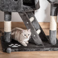 Load image into Gallery viewer, Floor to Ceiling Cat Tree, 240-260cm Adjustable Height Kitten Tower with Scratching Posts, Cat Houses, Ramps, Hammocks, Toy Balls, Tunnel for Indoor Use - Dark Grey