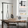 Charger l'image dans la visionneuse de la galerie, Dog Grooming Arm with Clamp, Adjustable Foldable Dog Grooming with 2 Loop Noose for Small and Medium Breeds, 18.9" -32.3", Black