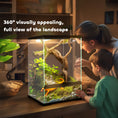 Load image into Gallery viewer, Glass Reptile Terrarium, 40L Vivarium for Lizards, Frogs, Snakes, Turtles, Tortoises, with Ventilation, 30 x 30 x 45cm