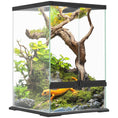 Load image into Gallery viewer, Glass Reptile Terrarium, 40L Vivarium for Lizards, Frogs, Snakes, Turtles, Tortoises, with Ventilation, 30 x 30 x 45cm