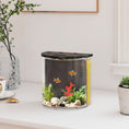 Load image into Gallery viewer, Fish Tank, 3L Nano Aquarium Starter Kit with Filter System, LED Light, Small Fish Tank for Betta, Goldfish, Shrimp, Black