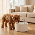 Load image into Gallery viewer, Ceramic Cat Water Fountain, 2.2L/74oz Pet Water Fountain with Ultra-Quiet Pump, 4-Layer Filtration, Faucet, for Cats and Dogs, Easy to Clean, White