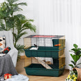 Load image into Gallery viewer, Indoor Rabbit Guinea Pig Cage Small Animal Cage Two Storey 80 x 44 x 82 cm