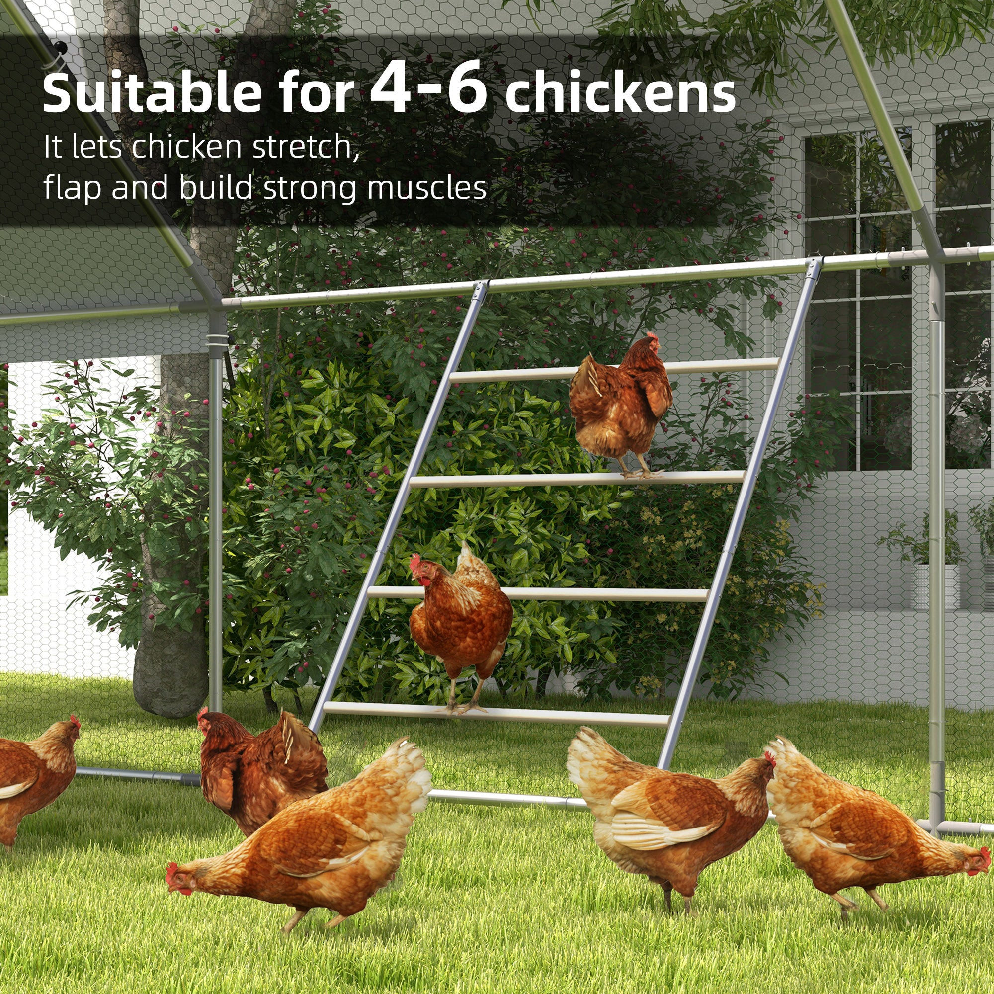 PawHut Chicken Perch for Coop, Wooden and Galvanized Steel Jungle Gym Roosting Bar Ladder for Backyard Poultry, 55" x 33.75"