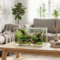 Load image into Gallery viewer, 24L Fish Tank, Glass Aquarium, Small Fish Tank with Protective Base Mat, for Shrimps, Turtles, Transparent, 40 x 25 x 25 cm