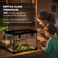 Load image into Gallery viewer, Glass Reptile Terrarium Insect Breeding Tank Vivarium Habitats with Thermometer for Lizards, Horned Frogs, Snakes, Spiders - Small 30 x 30 x 20cm