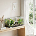 Load image into Gallery viewer, 51L Fish Tank, Glass Aquarium, Small Fish Tank with Protective Base Mat, for Shrimps, Turtles, Transparent, 60 x 30 x 30 cm