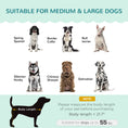 Load image into Gallery viewer, PawHut Velvet Large Dog Couch with Foam Cushion, Soft and Cute Dog Bed with Pearl Design, Dog Sofa for Big and Medium Dogs, Green