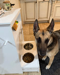 Load image into Gallery viewer, Pet Feeding Station with Storage & Raised Bowls White