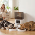 Load image into Gallery viewer, Automatic Cat Feeder with HD Camera for 2 Cats, 6L 2.4G/5G WiFi Smart Pet Food Dispenser with App Control, Timed Pet Feeder with 1-10 Meals Per Day, 10s Voice Recorder, Dual Power Supply