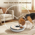 Load image into Gallery viewer, 6 Meal Automatic Cat Feeder Cordless, Dry & Wet Food Cat Food Dispenser with 1 Ice Pack, Battery Powered, Programmable Timer, for Kitty Small Dogs, Easy to Clean