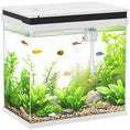 Load image into Gallery viewer, Fish Tank, 26L Glass Aquarium with Filter System, LED Lights, Water Pump, Betta Fish Tank for Goldfish, Shrimps, White