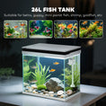 Load image into Gallery viewer, Fish Tank, 26L Glass Aquarium with Filter System, LED Lights, Water Pump, Betta Fish Tank for Goldfish, Shrimps, White