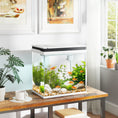 Load image into Gallery viewer, Fish Tank, 26L Glass Aquarium with Filter System, LED Lights, Water Pump, Betta Fish Tank for Goldfish, Shrimps, White