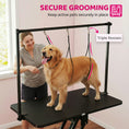 Charger l'image dans la visionneuse de la galerie, 43" L Hydraulic Dog Grooming Table, Z-Lift Height Adjustable Pet Grooming Table with Noose and Non-Slip Tabletop for Medium Large Dogs, Black