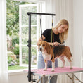 Charger l'image dans la visionneuse de la galerie, Dog Grooming Arm with Clamp, Adjustable Foldable Dog Grooming with 2 Loop Noose for Small and Medium Breeds, 18.9" -32.3", Black